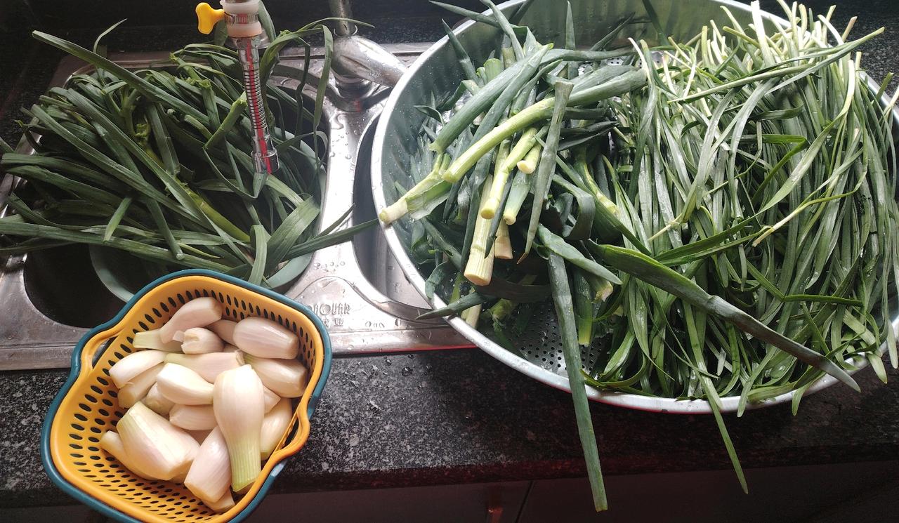 家里吃不完的菜，怎么储藏方式好呢？

家里亲戚拿来了一些，韭菜，大葱，蒜苗……可