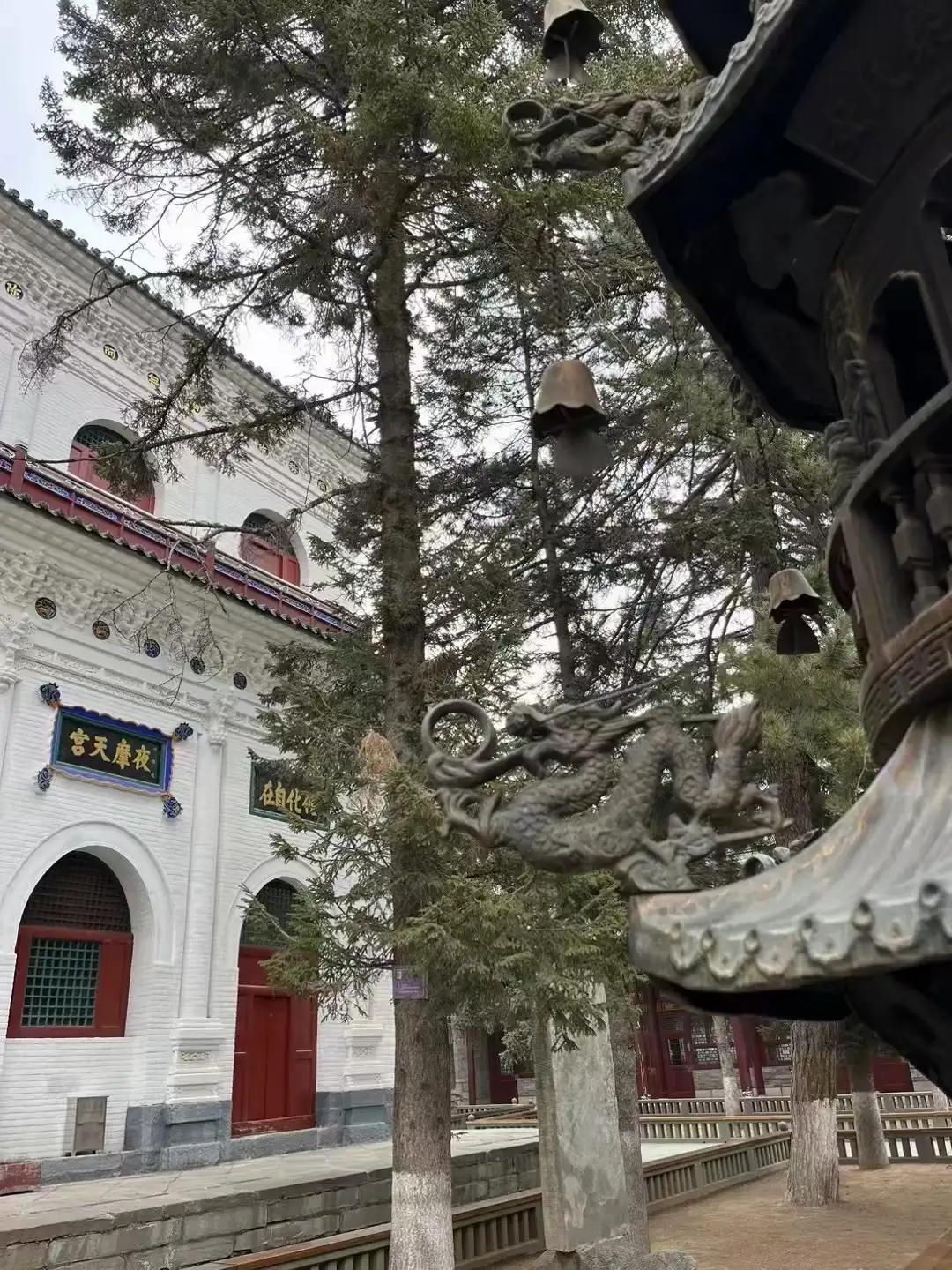 因为无常   你要善待生命
因为因果   你要善待他人
因为轮回   你要善待人