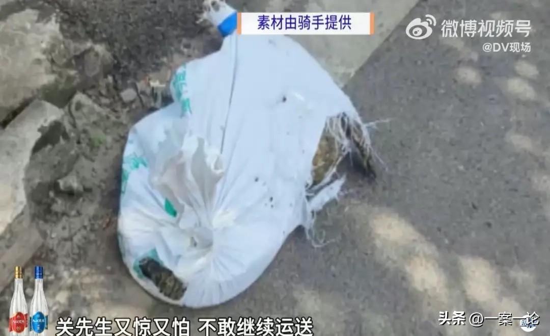 广东广州，骑手接到一单，要把一条鳄鱼运送到饭店，12公里费用26块，拿到货时，商