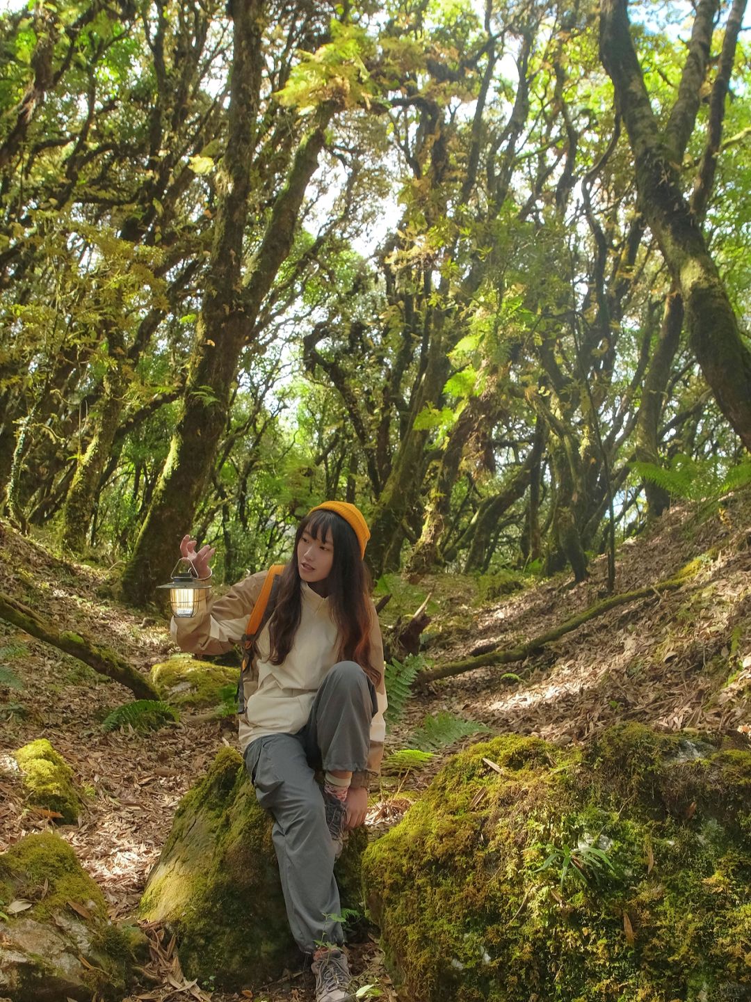 欢迎来到腾冲高黎贡山原始森林🪵🐿️🌳