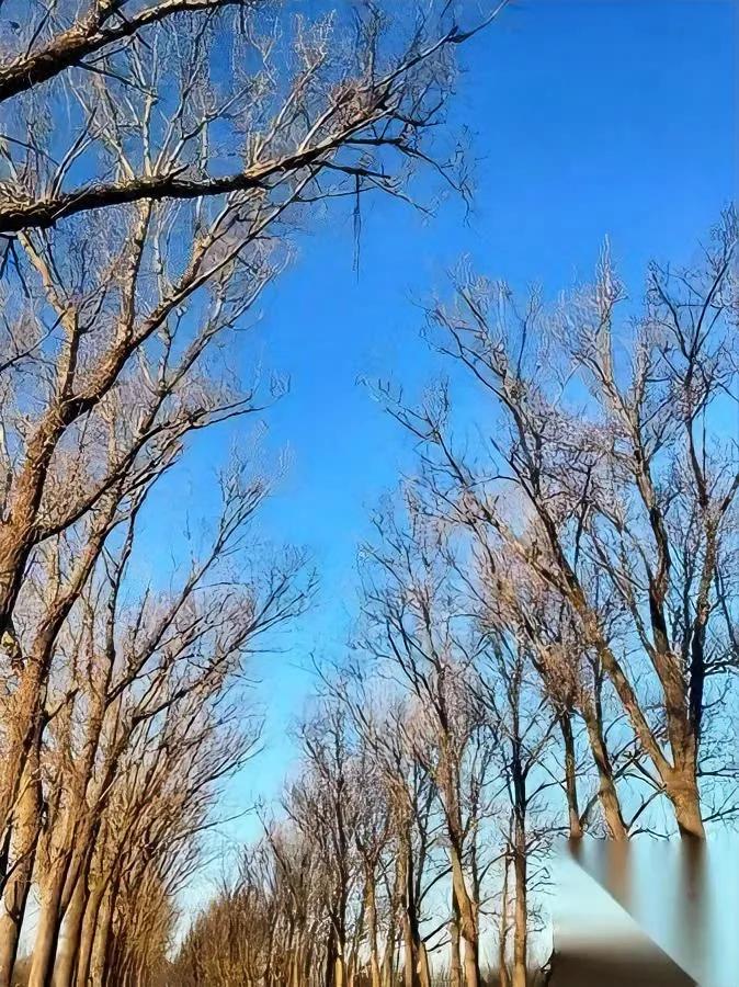 亲戚不联系了？

真相扎心了

现在走亲戚只剩红白事？不是90后00后冷血，是时