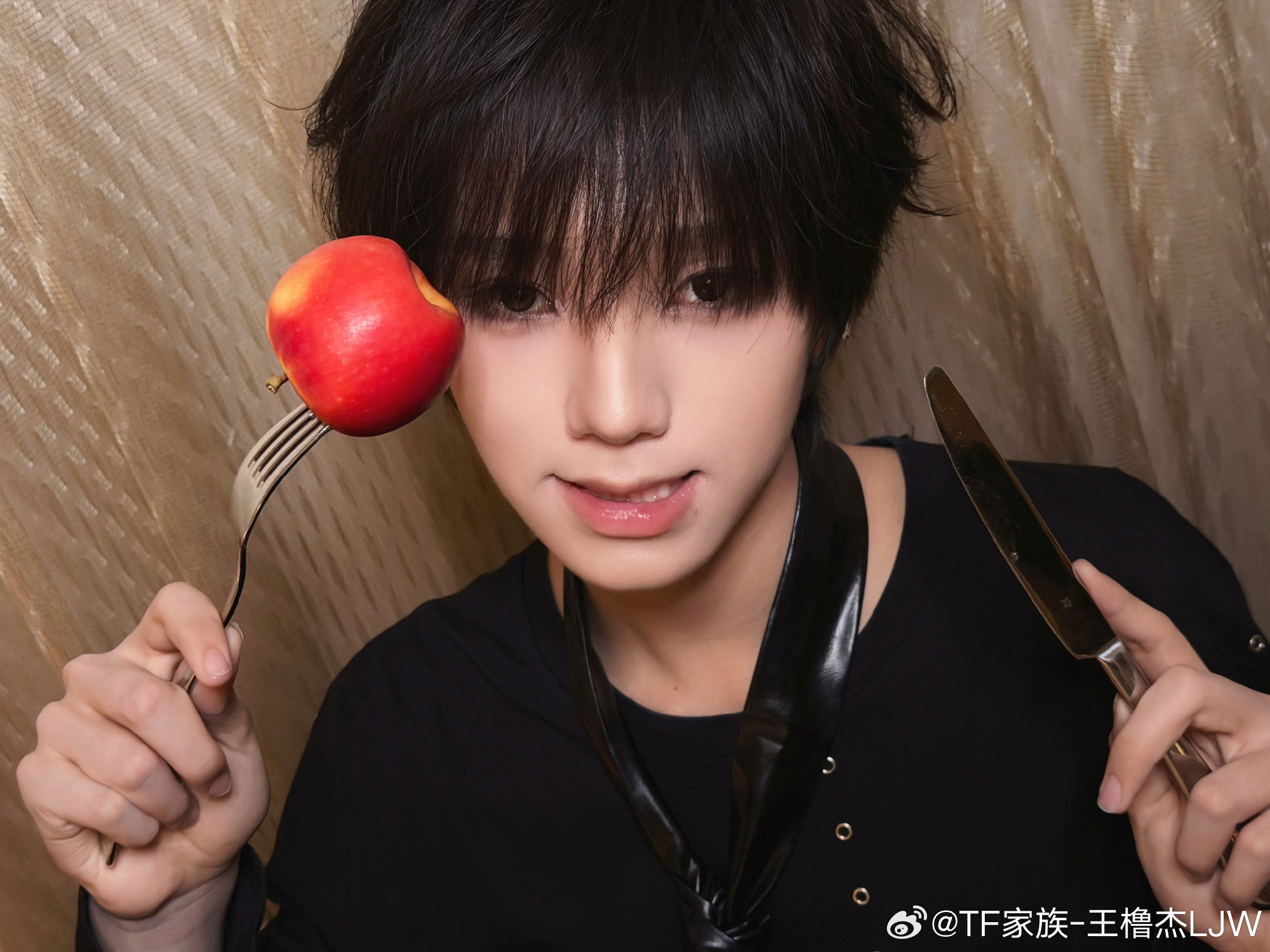小狗呲牙笑 