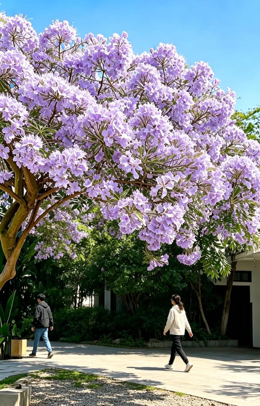 一位老中医的实在话：人生多数烦恼，都有简单解药，别总向外求，先把自己管好。

身