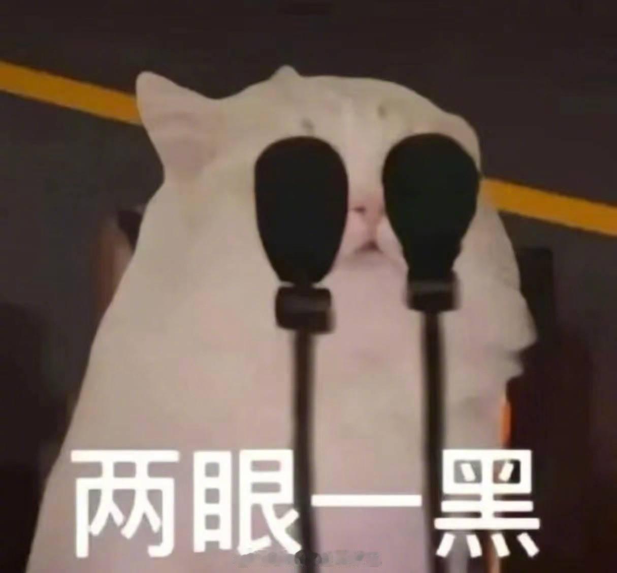 来晚了！如何了？听说cvb是爱神徒弟？不如窝🌲？