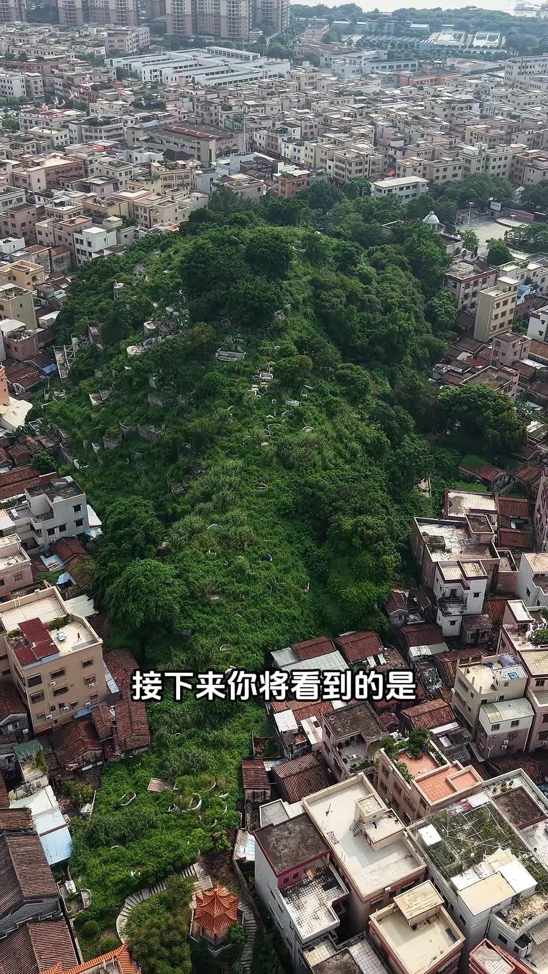 我最近发现中山的闹市里藏着大岗山这个特别的地方。
1️⃣山上是扎根数百年的世家望