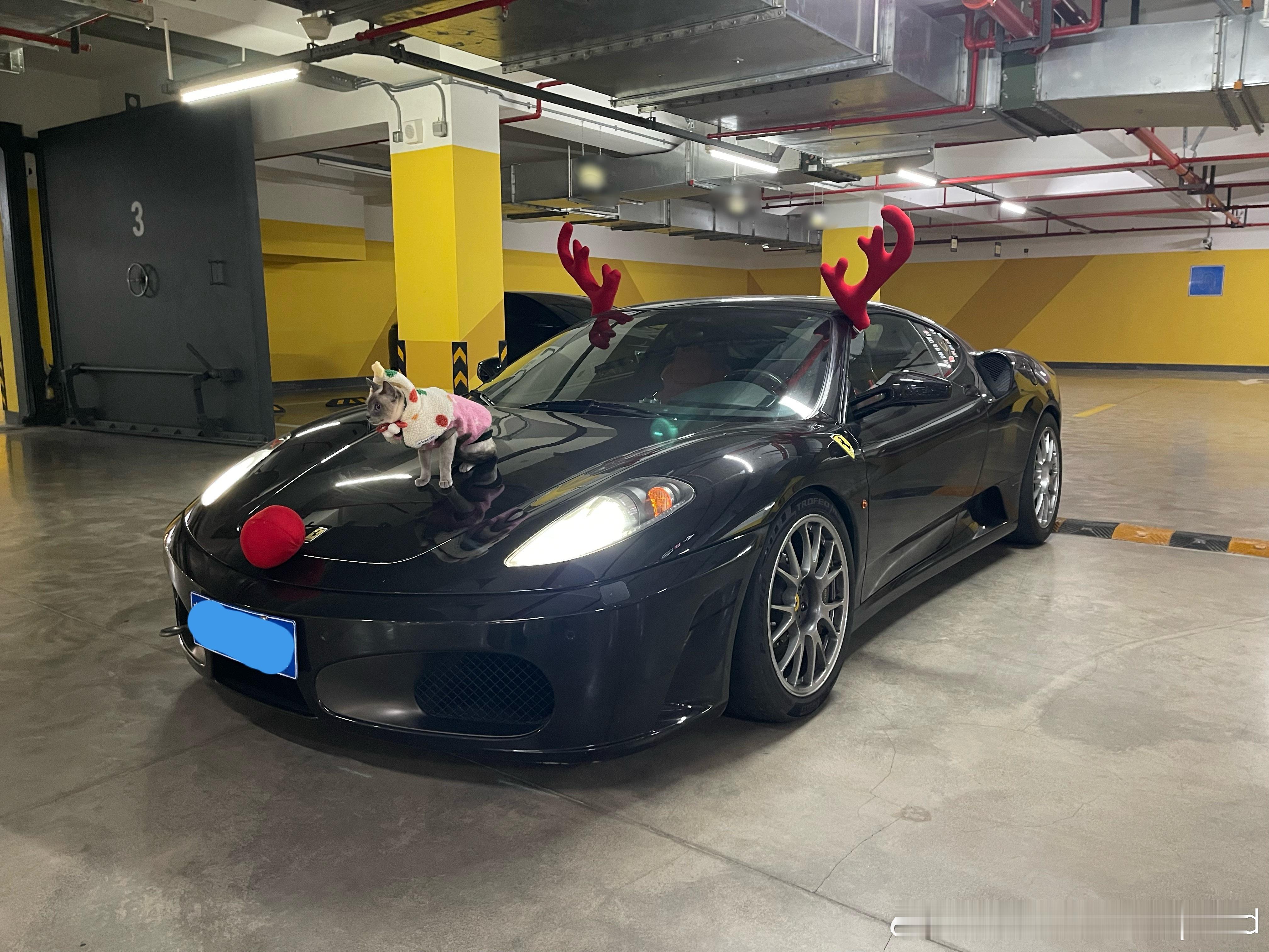 Merry Christmas🎄✨🎁🫎🧑🎄 