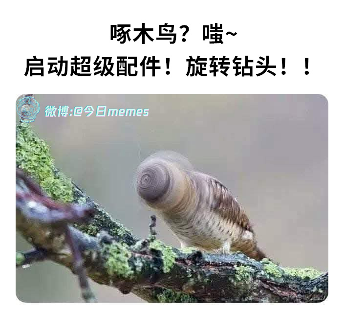 自动化（9gag） 今日meme[超话]   