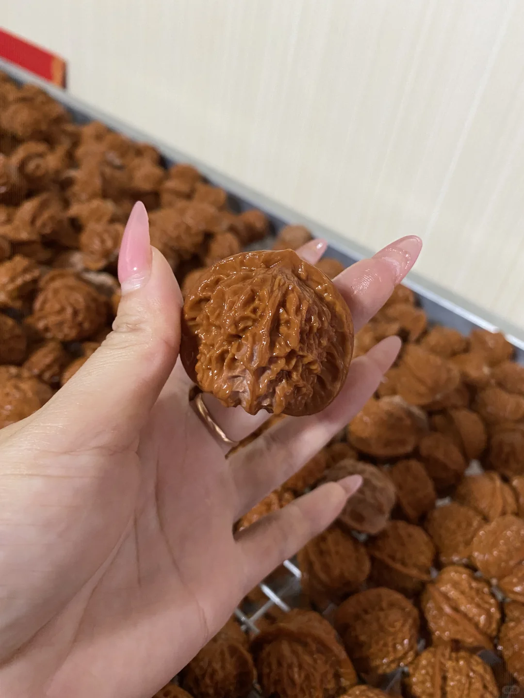 2024的娃娃下树啦👐