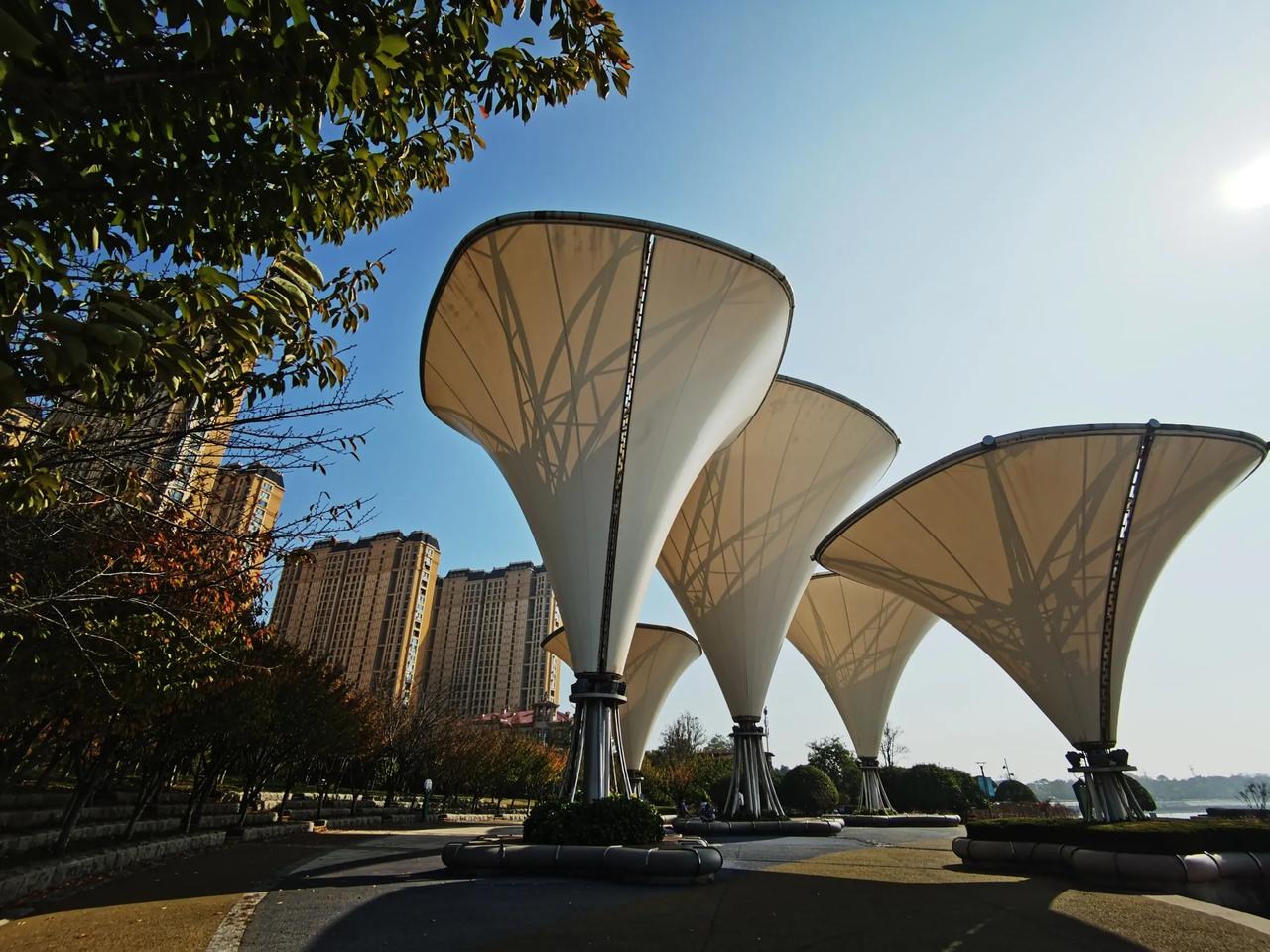 青岛市西海岸，唐岛湾国家湿地公园。一个非常神奇的休闲休息场所。#青岛城景# #青