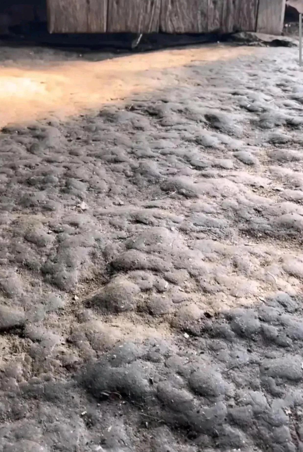 我爷爷家的土房子就是这样