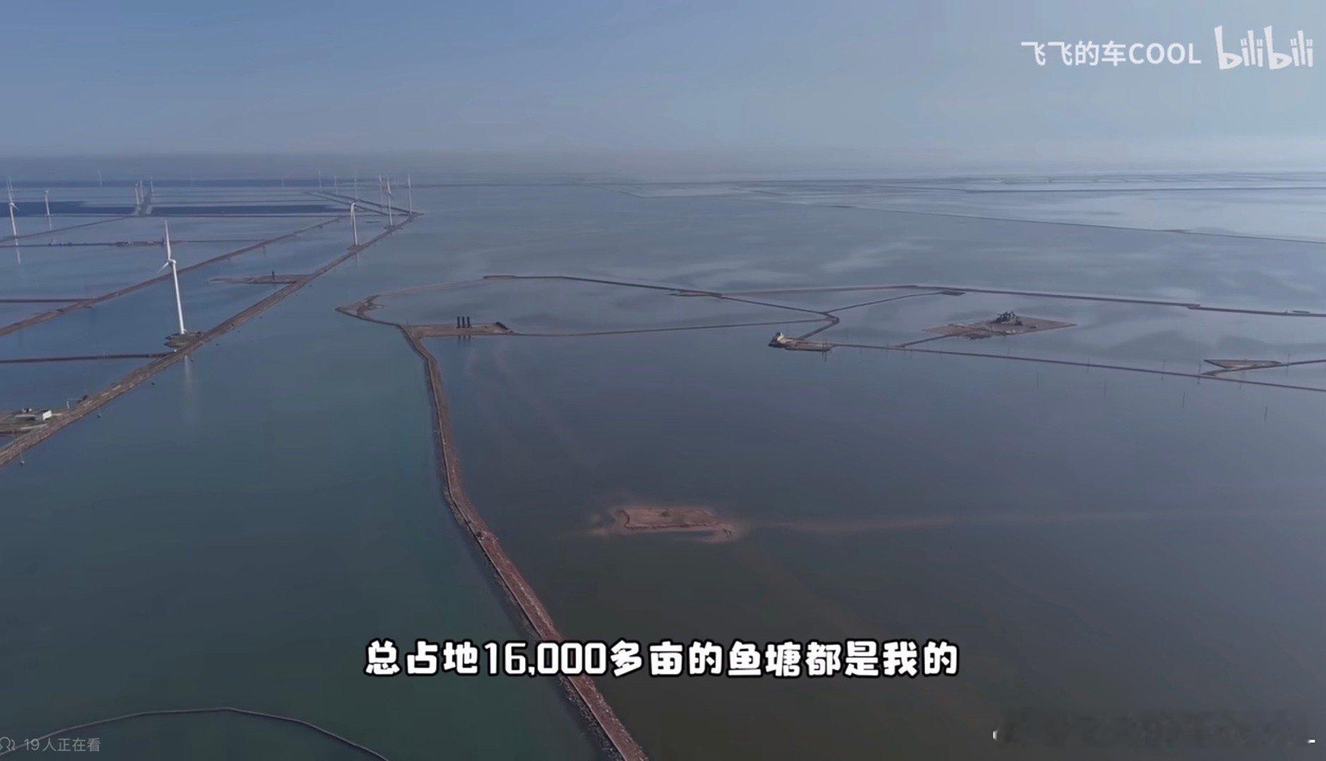 一直想再拍个鱼塘后续有人想看吗？评论区明示我一下～