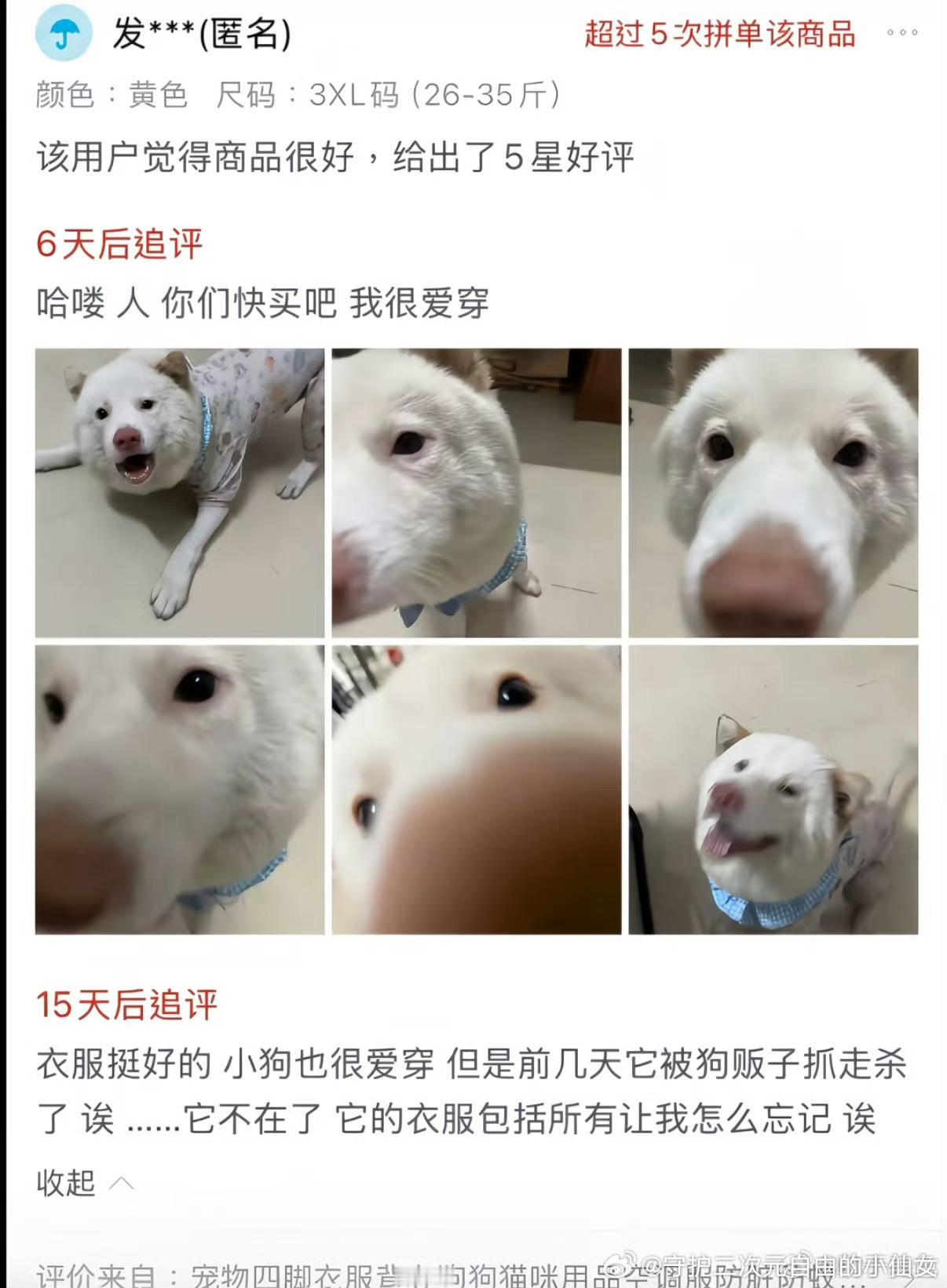 图片和文字看着让人想哭