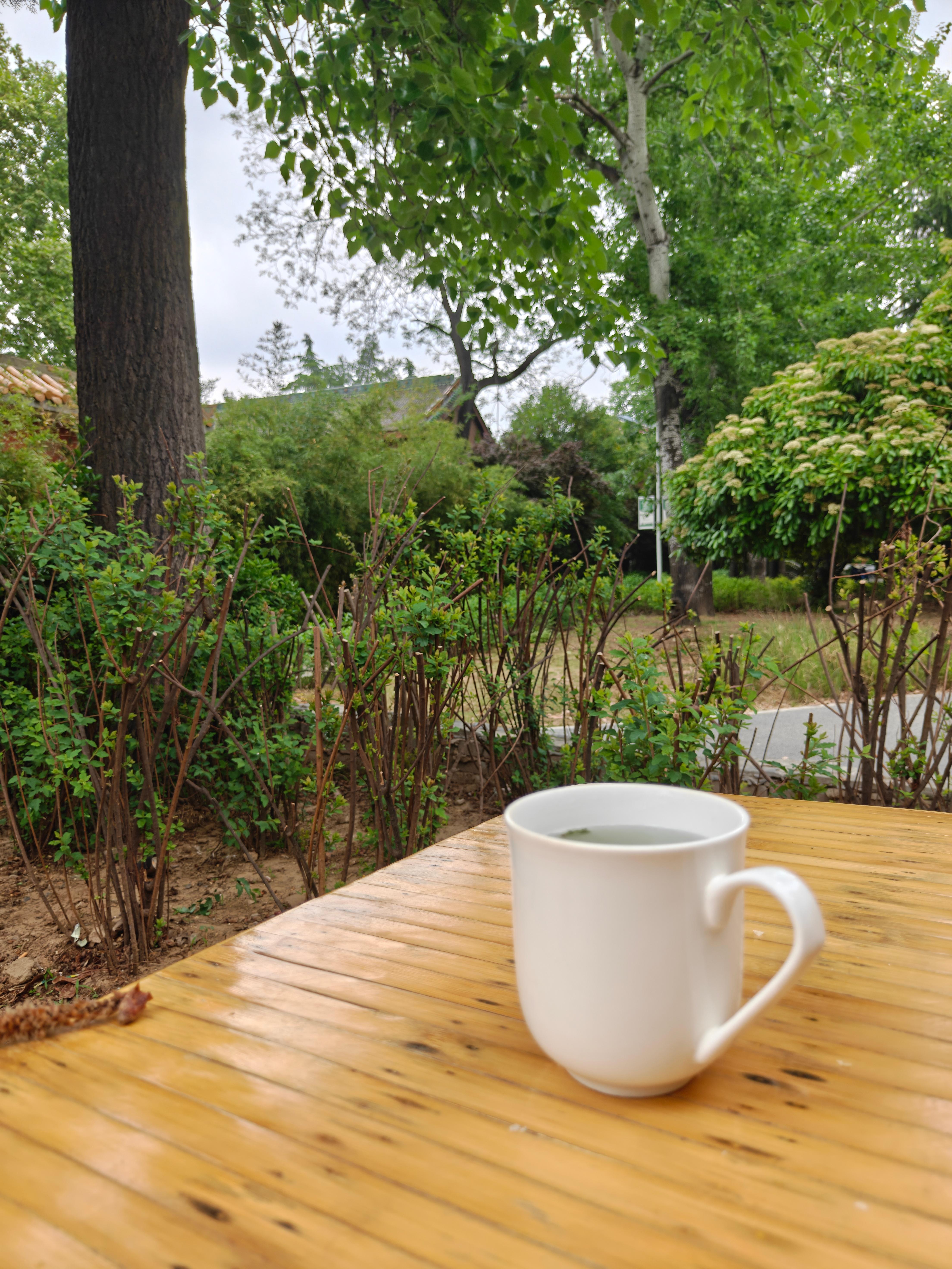 昨晚走了14公里，今天坐在树下一动不动读了三小时书，虽然是小说，但是已经感觉到，