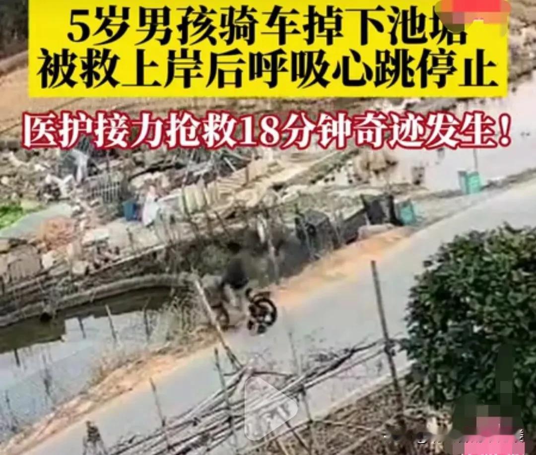 湖南岳阳，一小男孩骑着自行车，不慎连人带车掉进池塘里。被路人发现后，赶紧将小男孩