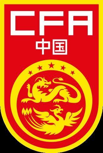 法国人一句话戳中了中国足球最痛的地方：问题或许不是中国球员不会踢，而是现实环境让