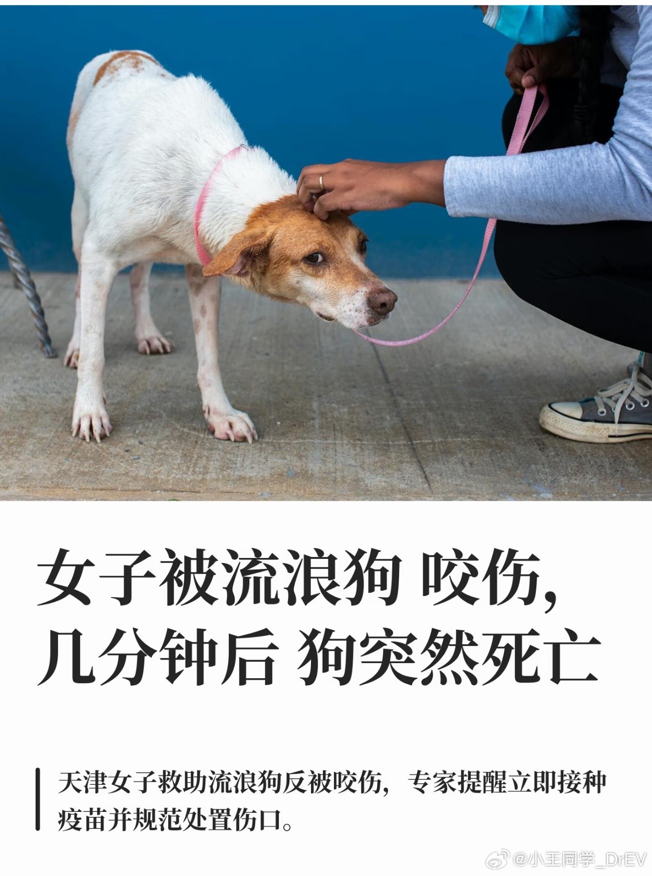 被狗咬伤后狗死亡女子已打疫苗病犬攻击性不可预判，万幸当事人及时打了血清，千万别贸