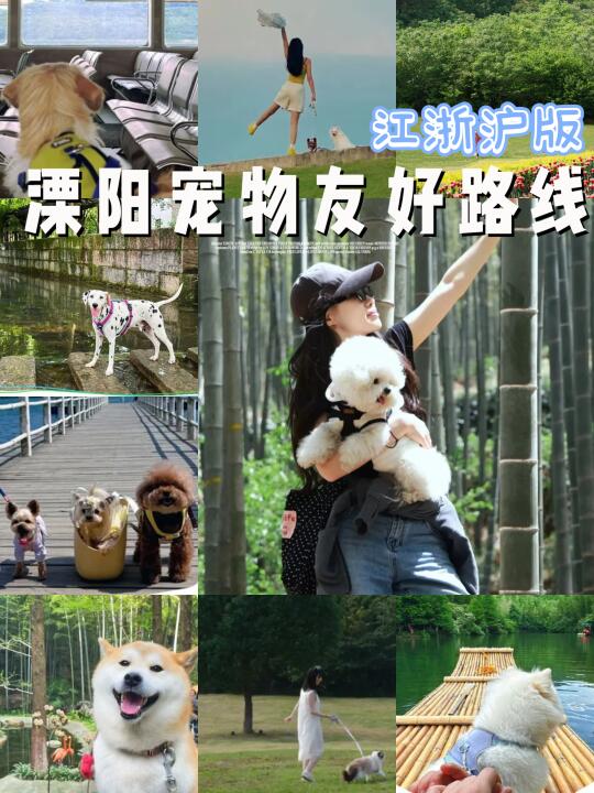 溧阳宠物友好路线🐕毛孩子玩疯了❗