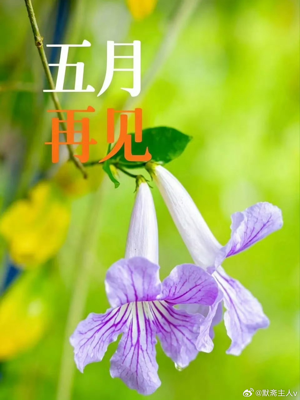 行水辞·默斋主人原创自由诗松开手一脉溪流，便学会转折于石隙间酿一季澄明顺逆浮沉，