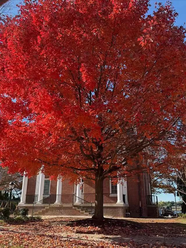 揭秘｜美国国务卿卢比奥位于迈阿密的住所究竟啥样

典型的美国中产阶级住宅，一家人