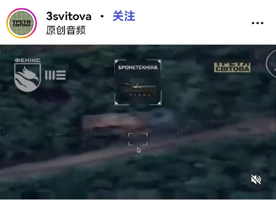 有报道称，在svitova方向，俄军尝试大规模坦克突破被阻止！
凤凰城边境防御部