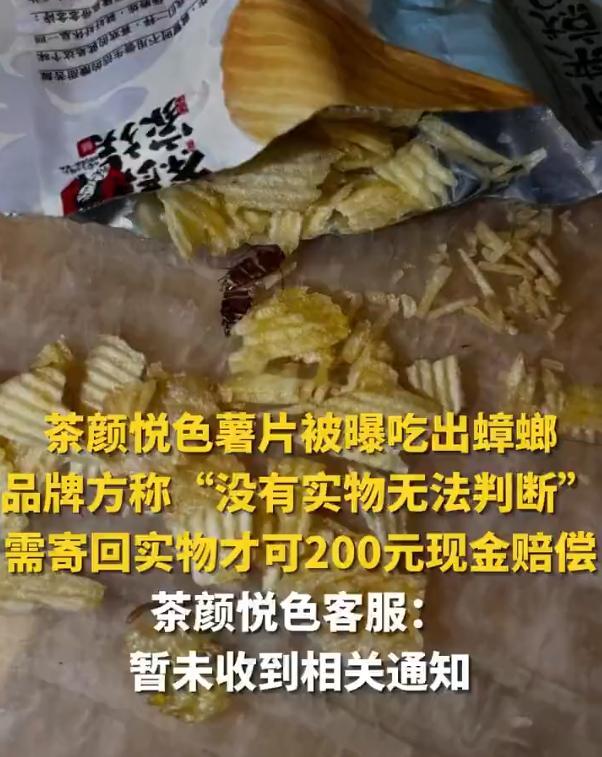 茶颜悦色吃出蟑螂干寄回才能赔付 7月7日，有网友发帖称在茶颜悦色薯片中吃出蟑螂干