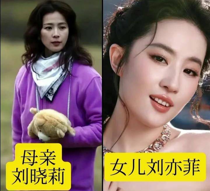 原来这些顶流小花的妈妈，个个都大有来头！
🔸刘亦菲×刘晓莉：舞蹈家出身的全能护