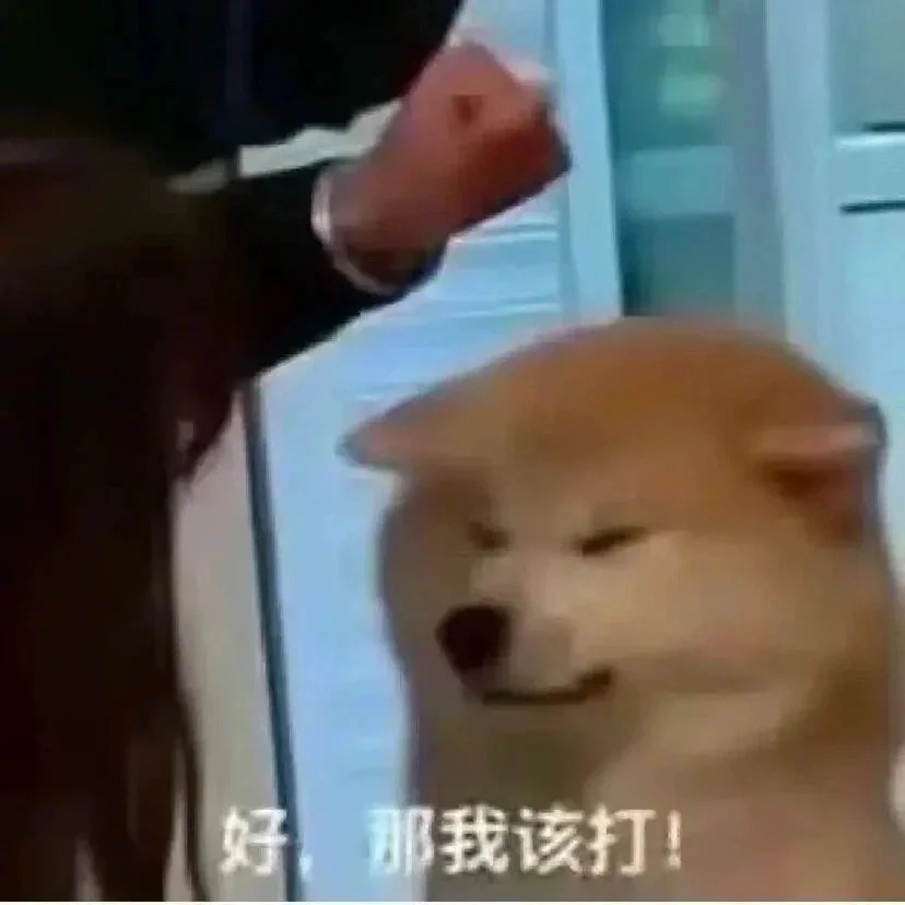 其实逼自己一把我什么都能写