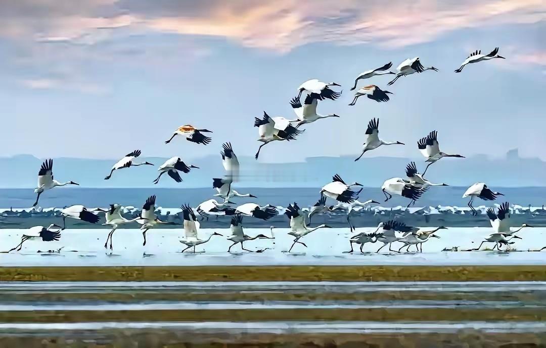 海南封关，影响的不仅是新加坡，还有台湾！海南封关，建设自由贸易港，不仅影响新加坡