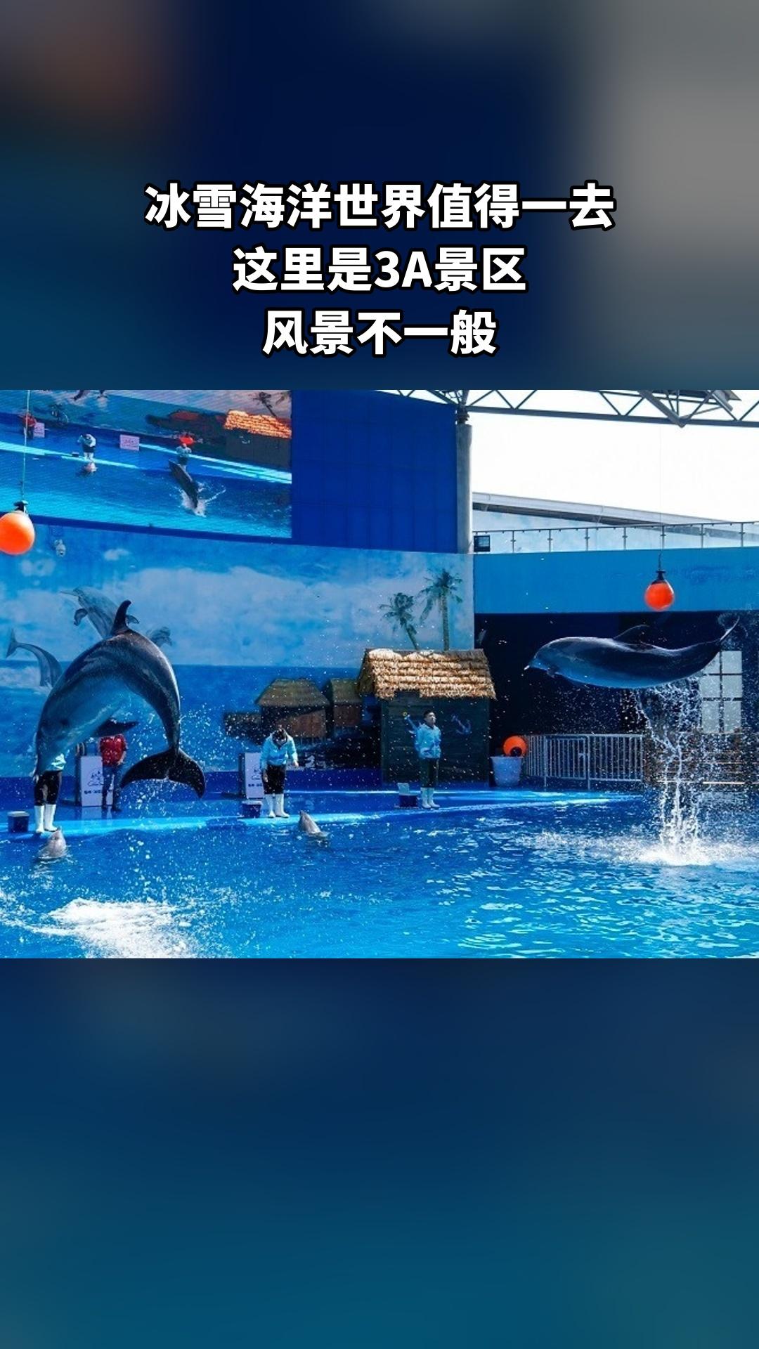 冰雪海洋世界，好货推荐，年卡成人，超值折扣，景区官方、随时退·过期退...