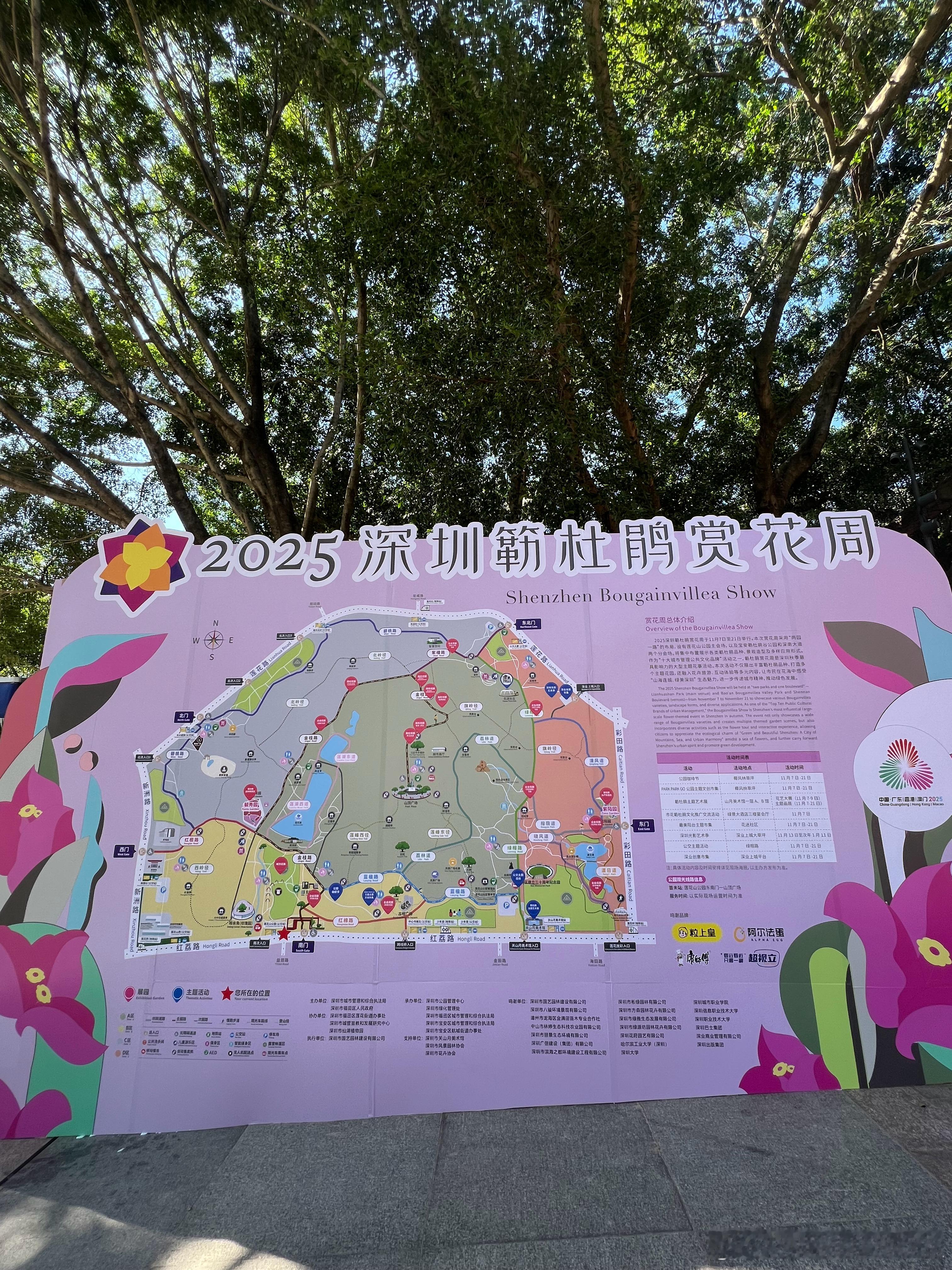 后天花展就开始了！家住公园旁边的好处就是，吃完饭散步即达🌸🌺 2025深圳簕