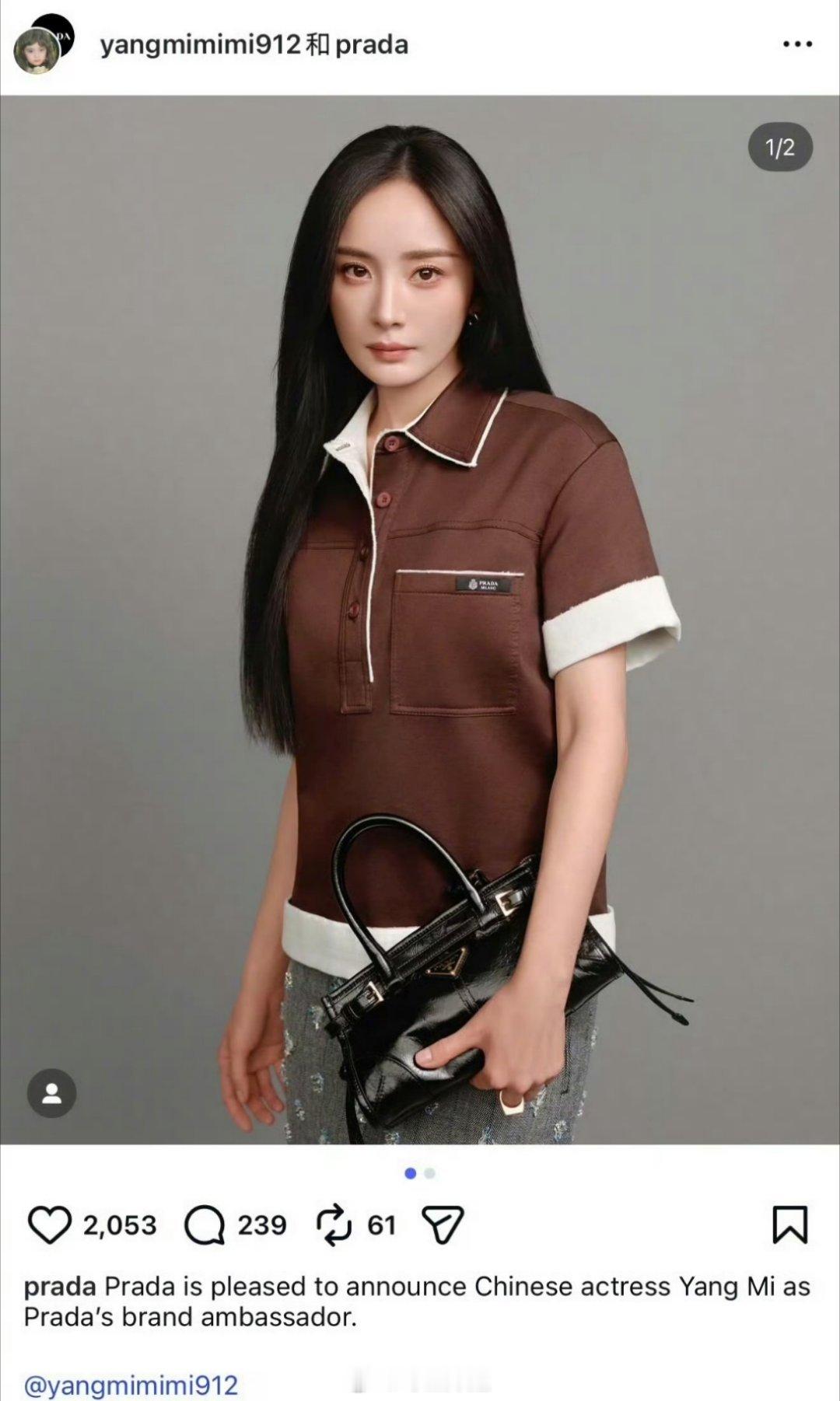 网友汇总的85花们的奢侈品成衣代言，有杨幂、辛芷蕾、刘诗诗、刘亦菲、唐嫣、倪妮，