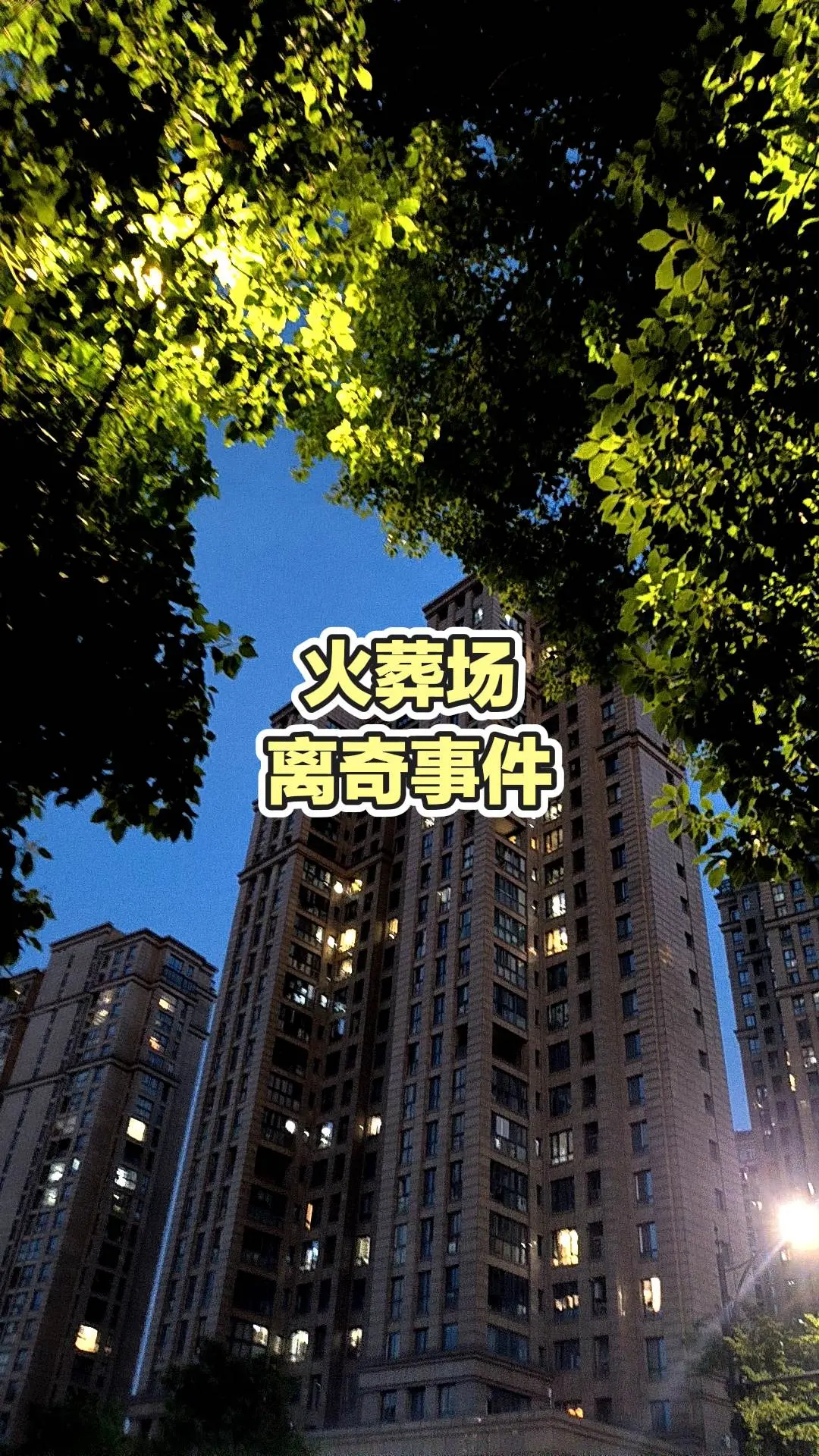 每日分享