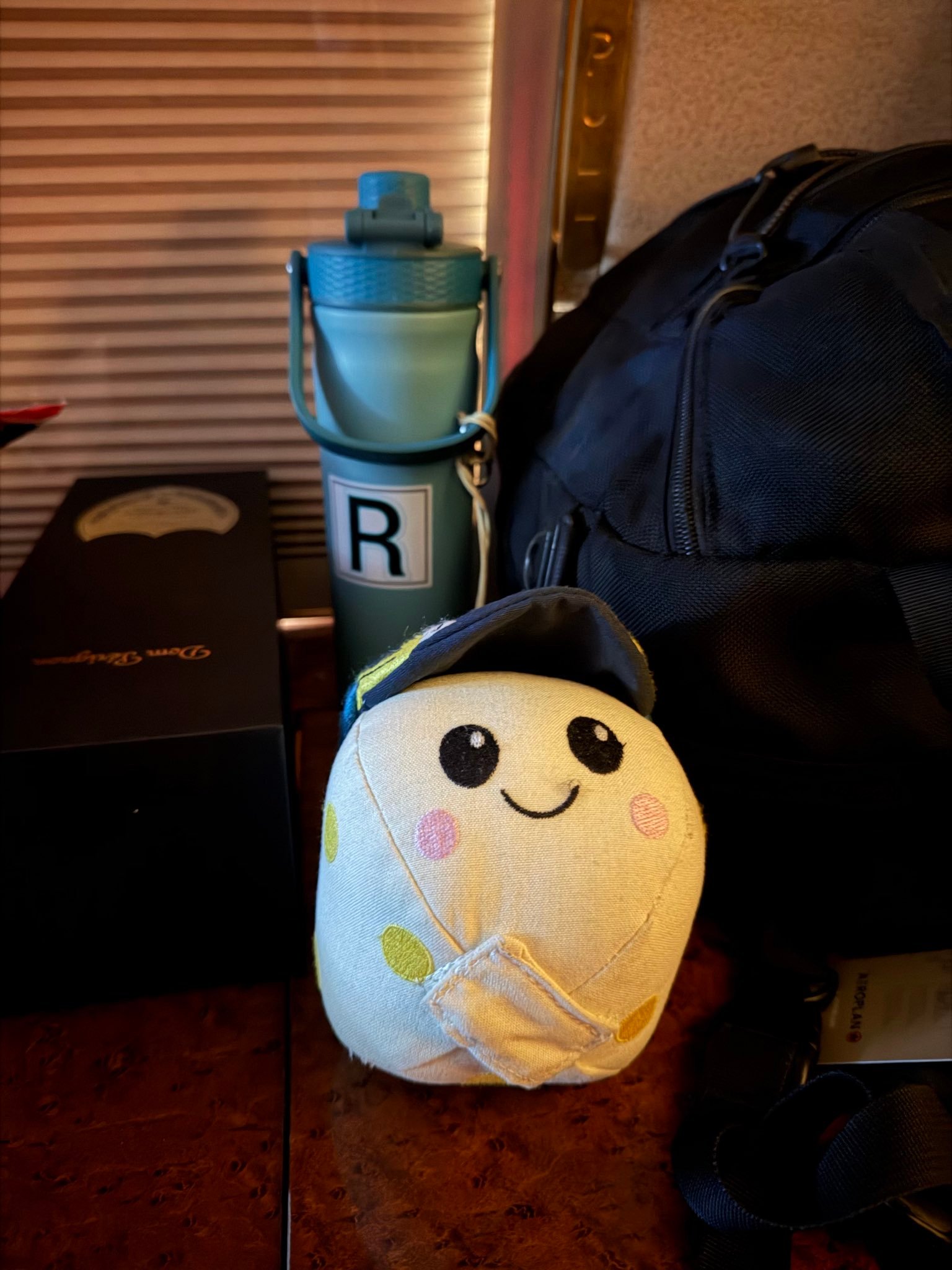 NASA阿尔忒弥斯2号任务的失重指示吉祥物“Rise”由年仅8岁的华裔加州男孩卢