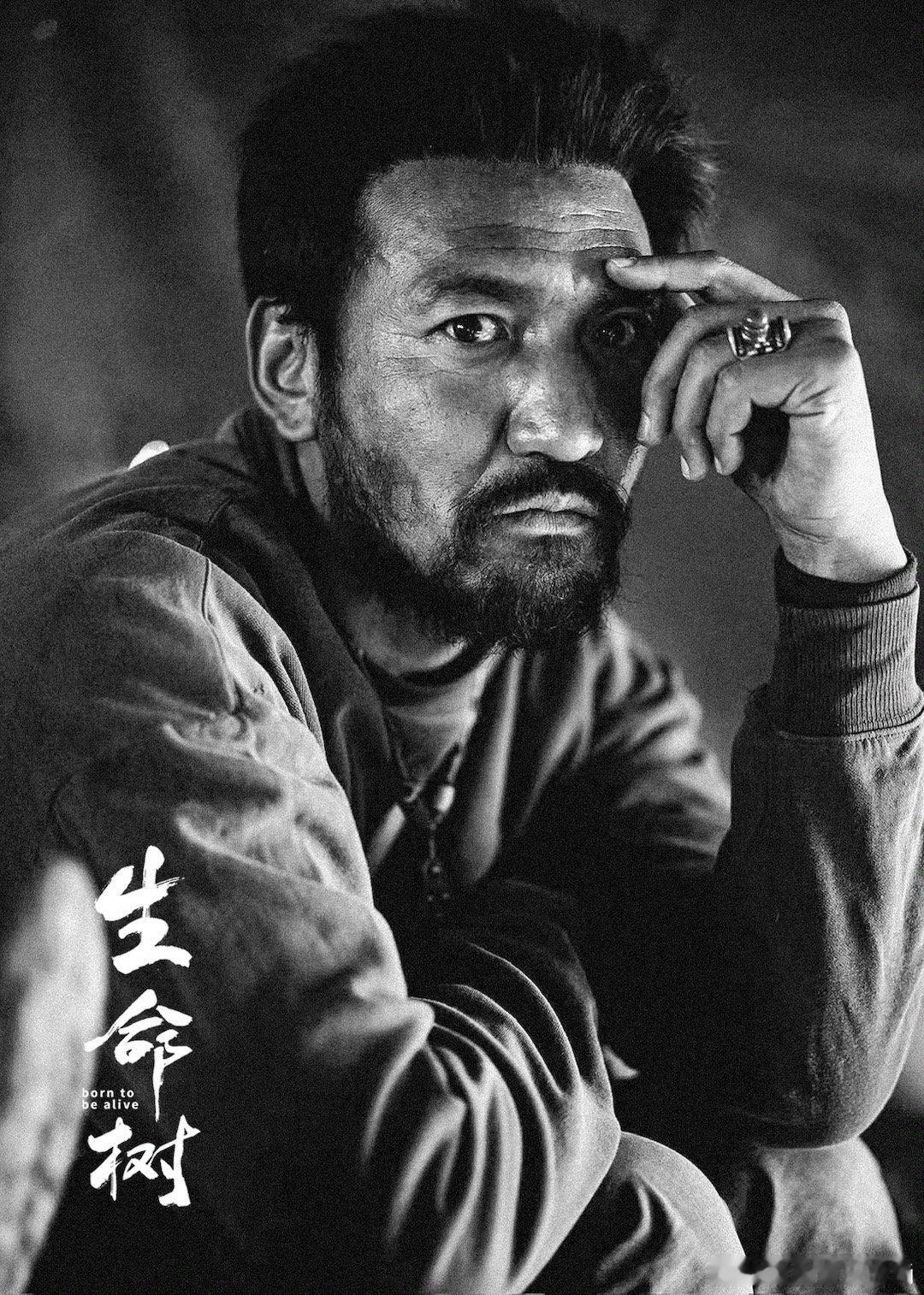 剧圈来了个影帝金巴 《生命树》迎来影帝金巴。他手握金鸡奖提名，演技有口皆碑。从电