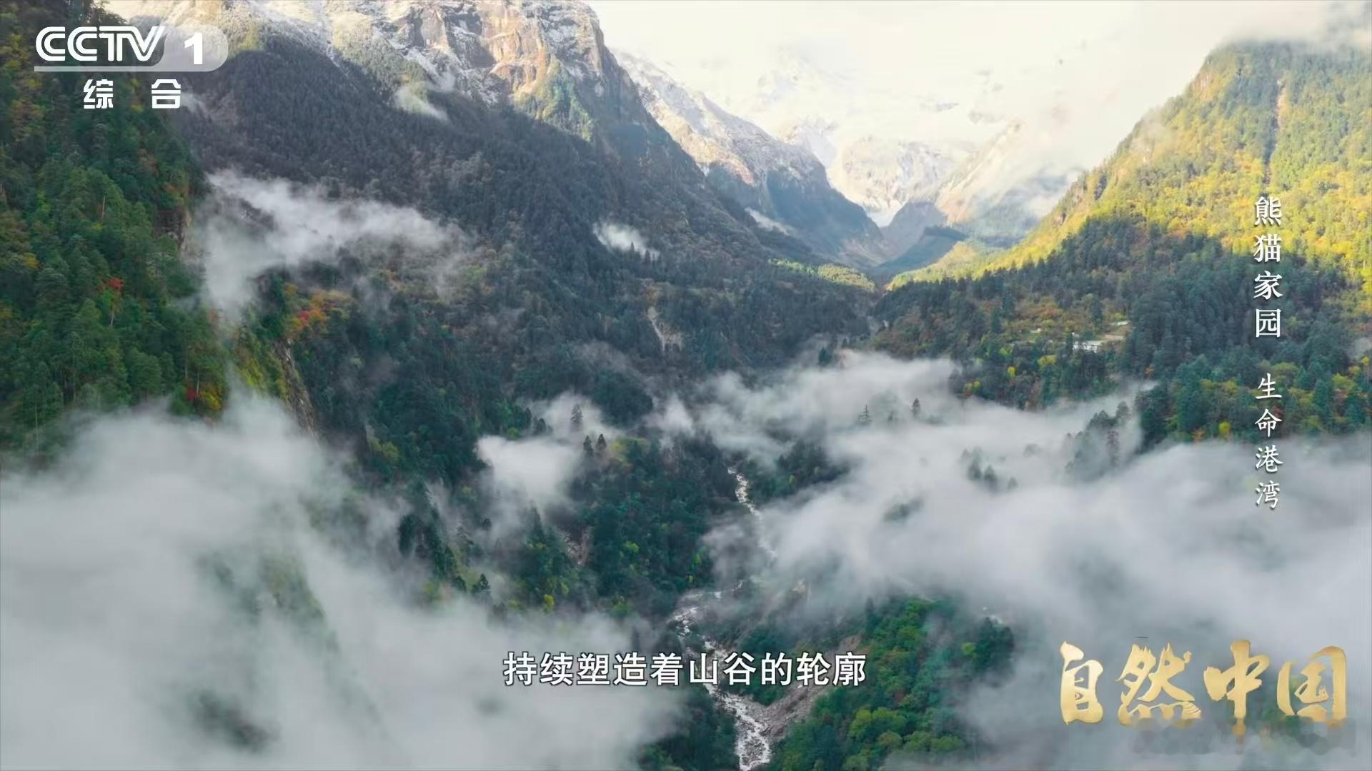 四川有一种脏脏包冰川 谁懂这种反差美！不像普通冰川那样洁白，脏脏包模样自带随性质