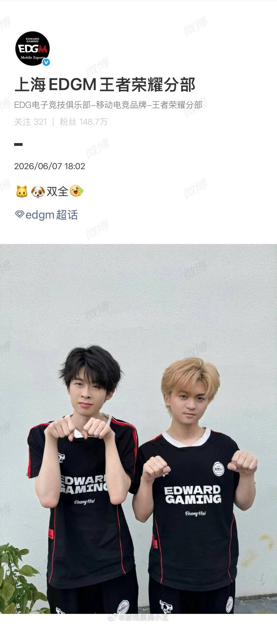EDGM猫狗双全 EDGM猫狗双全这只小猫和这只小狗怎么似曾相识的样子