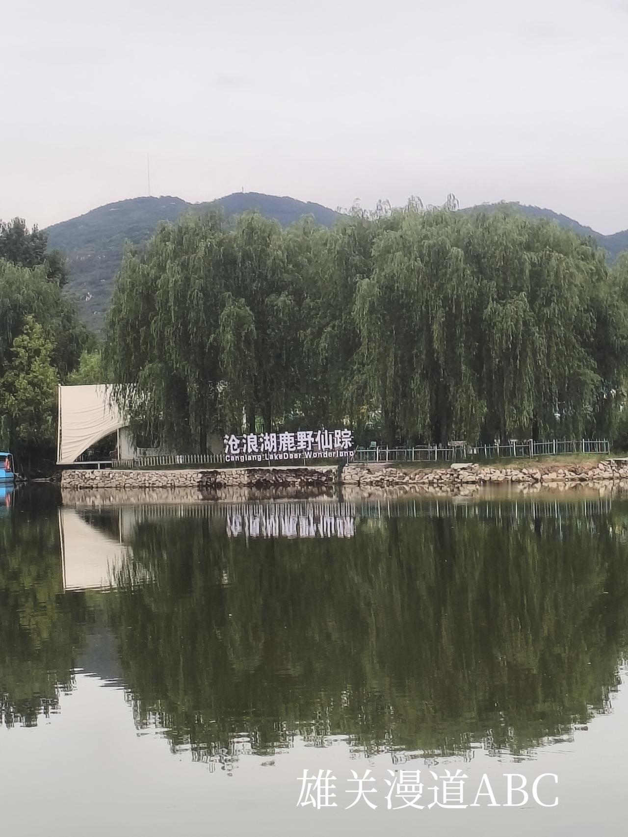 拍摄于肥城市潮泉镇天鹅湖畔的《沧浪湖鹿野仙踪》，此处集游玩、烧烤等为一体，是周末