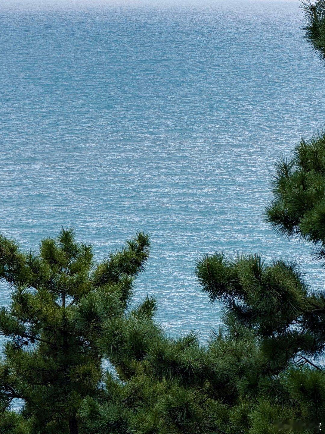 梨想生活肖嘻嘻🌊🏠🌳⛰️  ​​​
