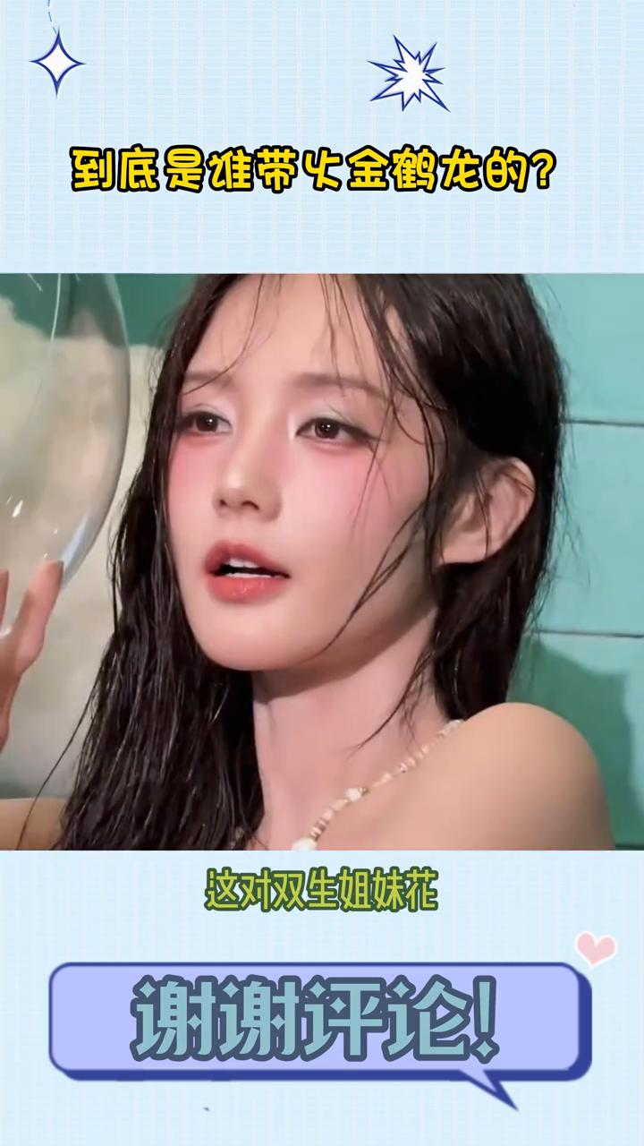 到底是谁带金鹤龙的？
要发财了，这怎么不算是宛宛类？谁还记得金鹤龙最初是因为给李