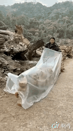 这股劲儿，就是实打实的七个不服八个不忿，眼里没怂字！