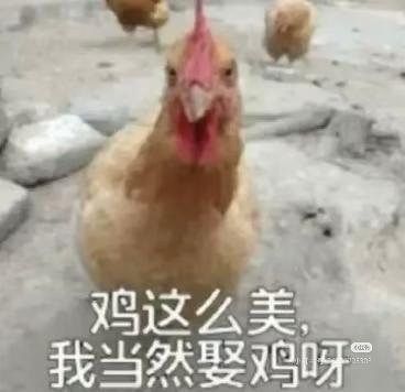 分享图片 