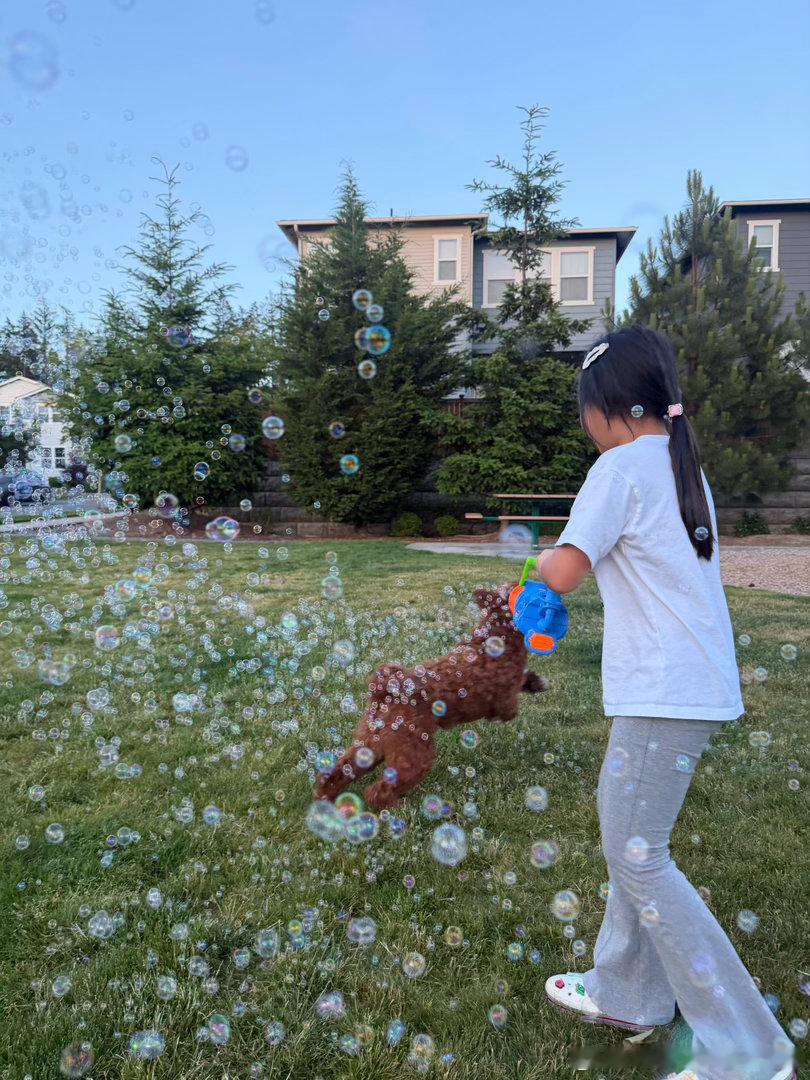 西雅图呆久了真的越来越怕热，30度都不敢白天出门，晚上8点了才出来遛狗遛娃 真不
