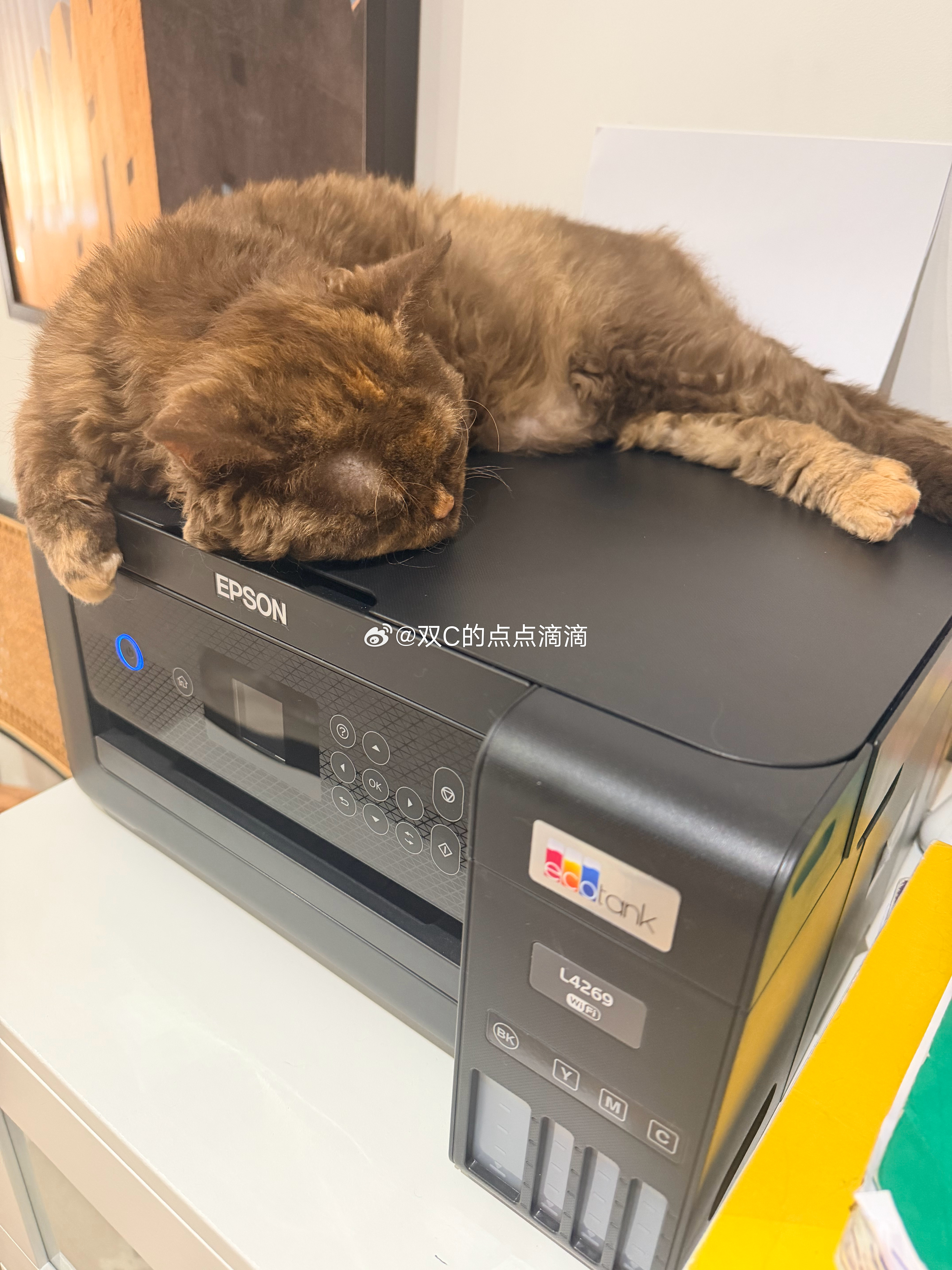 今儿也有打印机这个每年都有 我就不多说了学龄小孩打作业大人打文件资料啥的都必须备