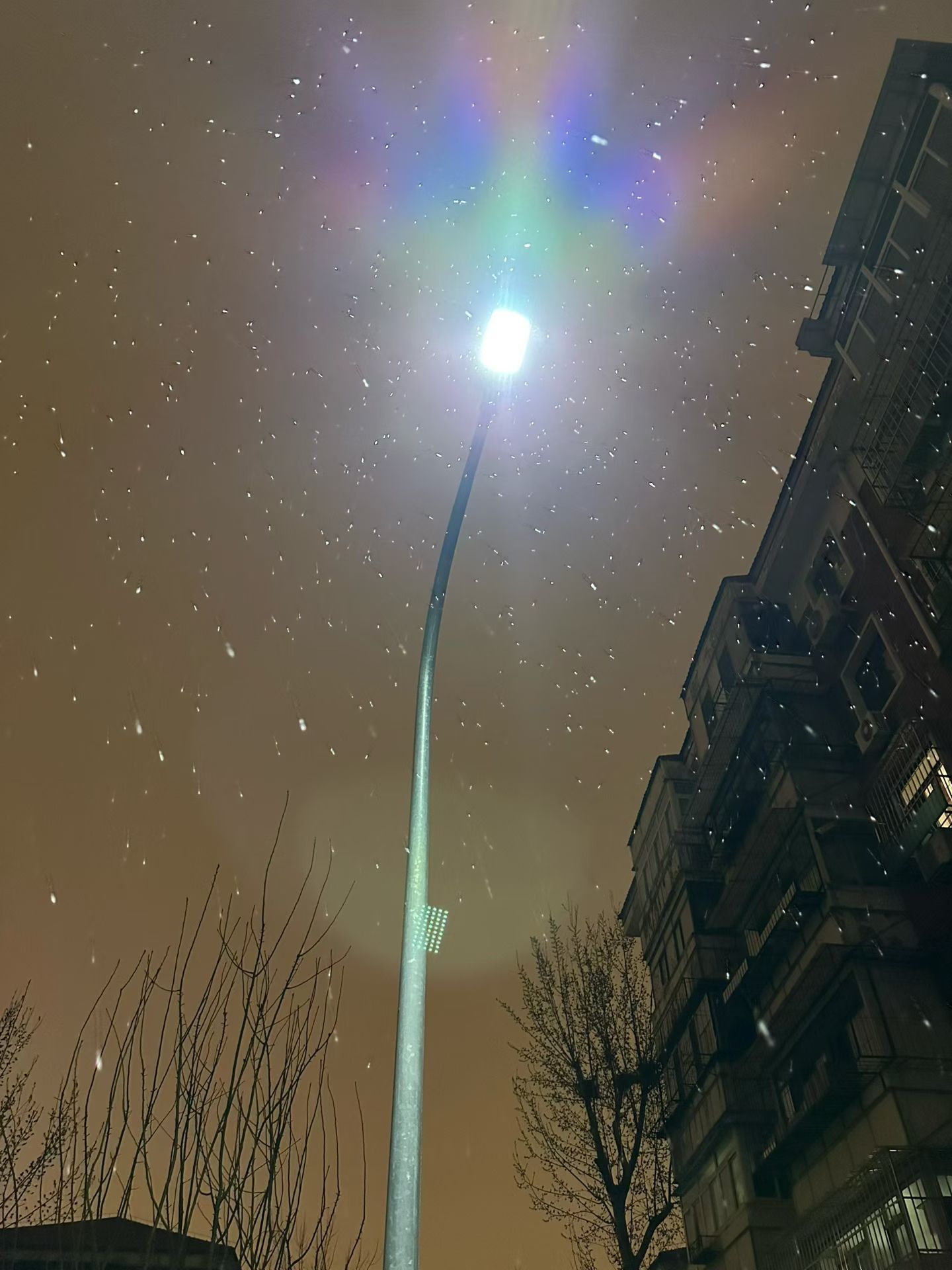 你好星期六谁能想到大晚上的竟然下雪了，虽然是落地就化了的那种雨夹雪吧。今天星期六