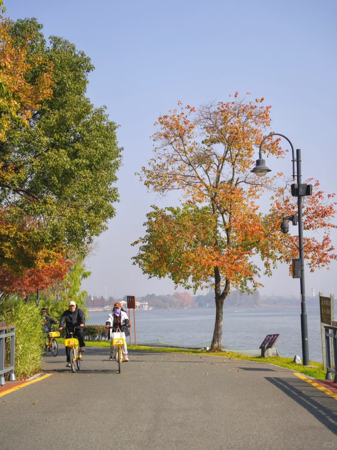 往返东湖99次❗️依旧爱惨这条小众骑行路线🍂