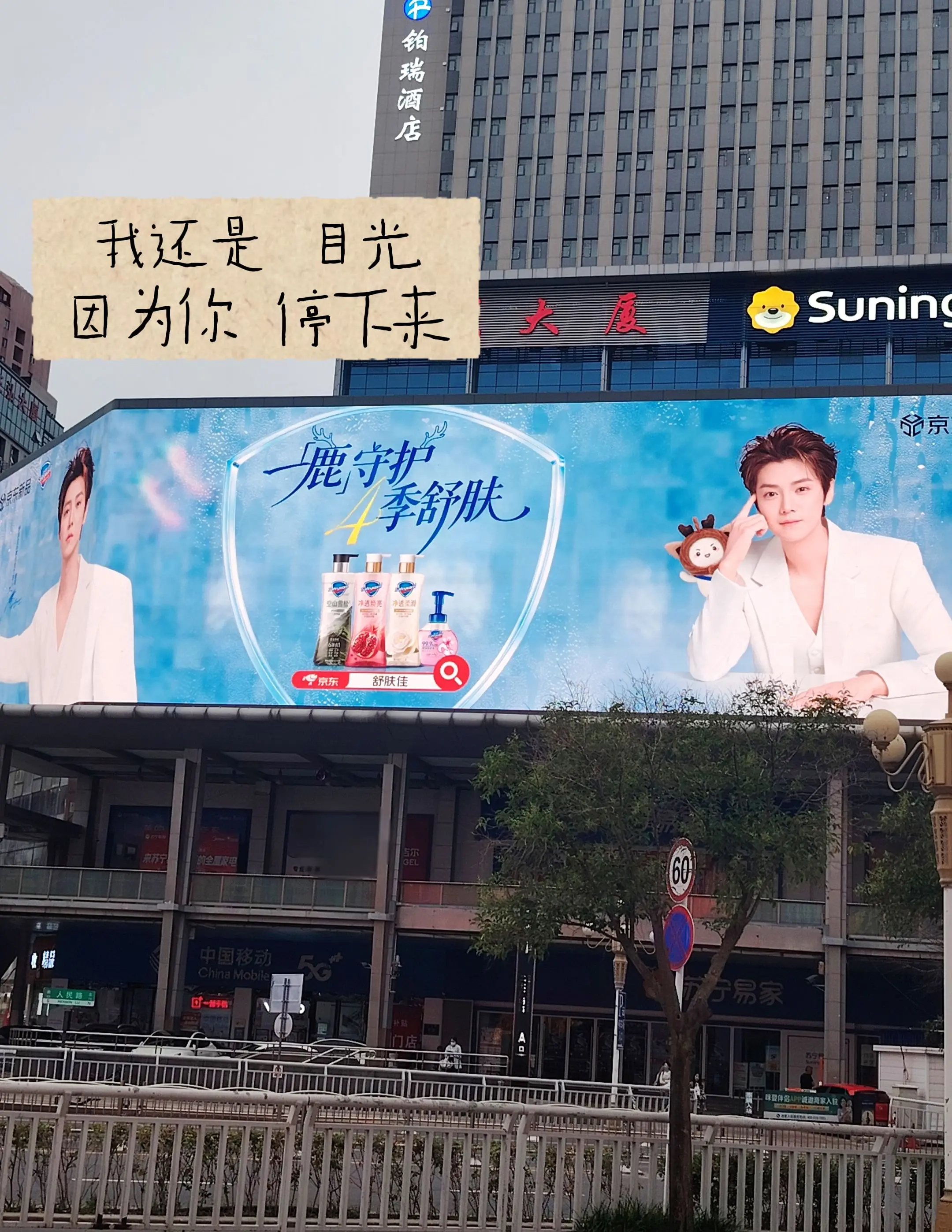 我还是目光 因为你停下来