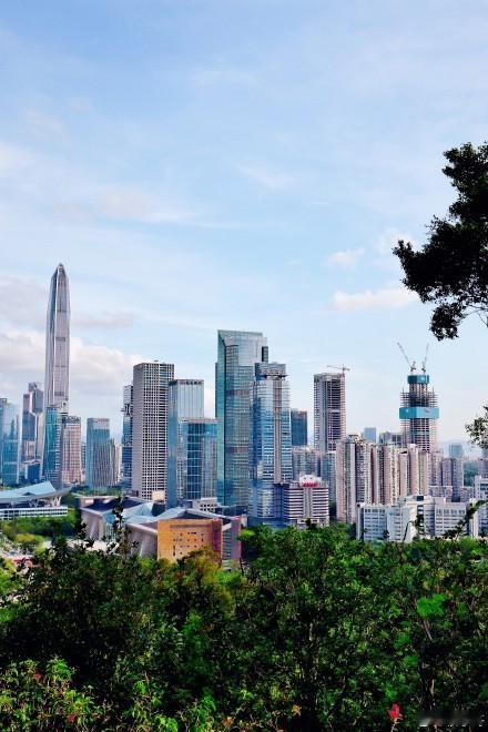 站在深圳莲花山公园山顶拍到的深圳美景。 