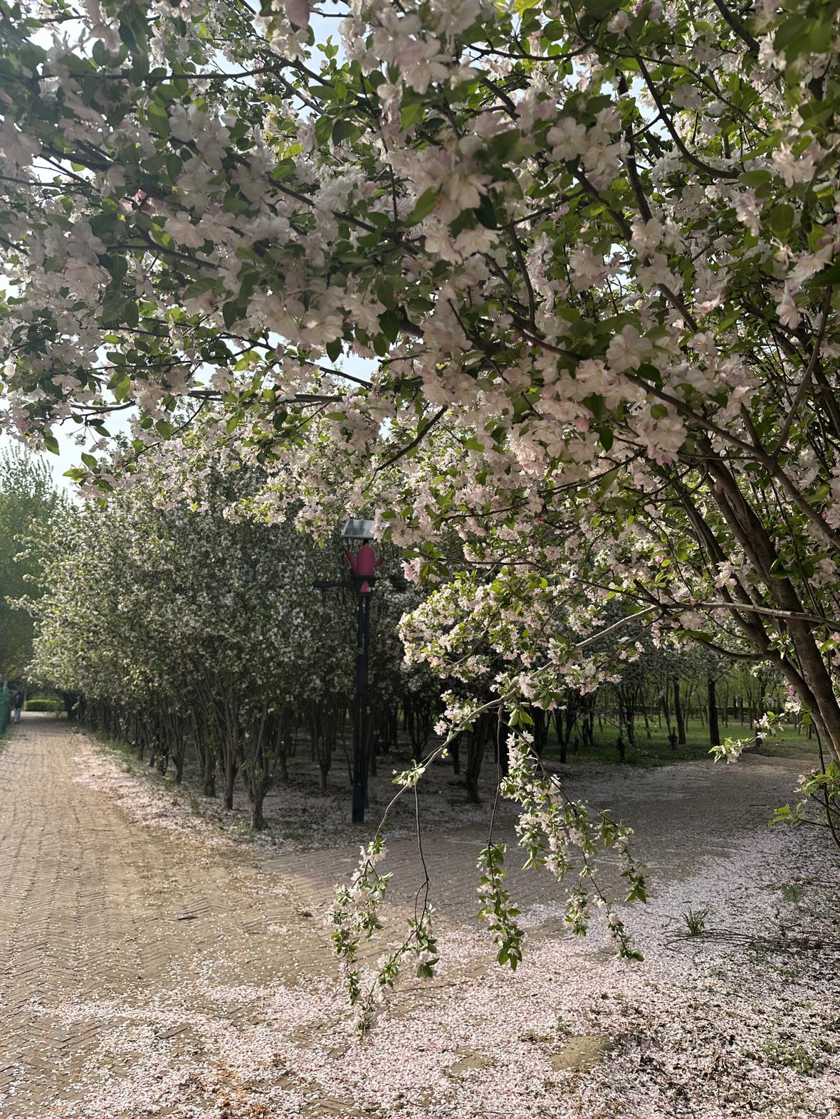 我的今日状态：😁轻松愉快
我这里的天气：🌤️多云