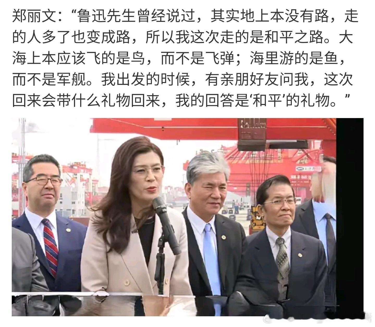 郑丽文引用鲁迅名言识时务者为俊杰