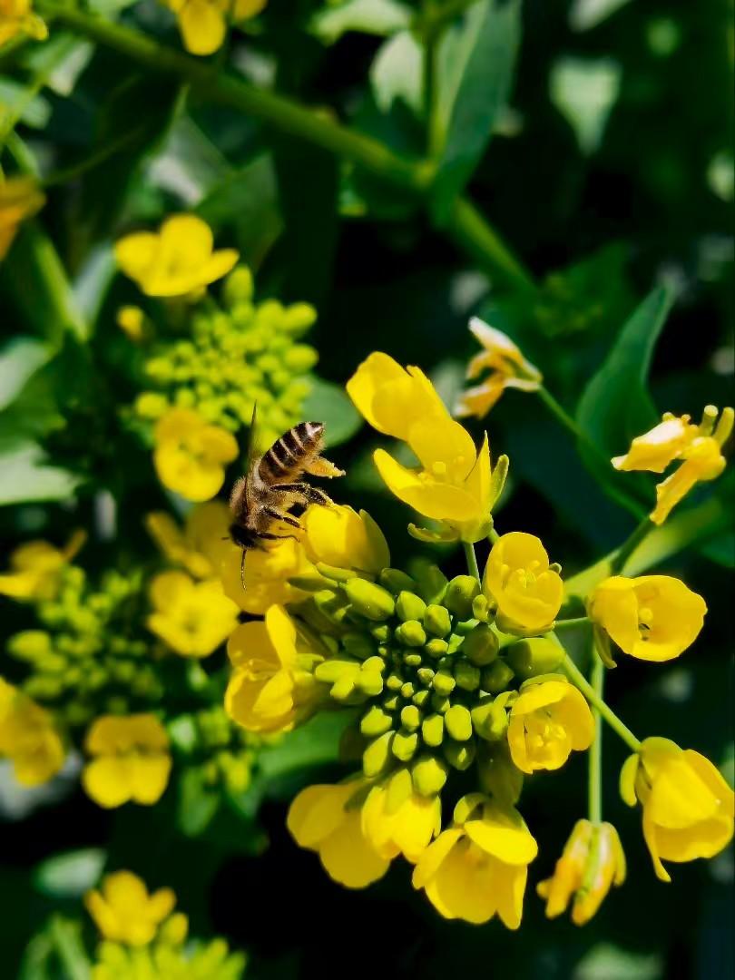 一个人最好的状态，
就是眼里写满了故事，
脸上却不见风霜。
不羡慕谁，
不嘲笑谁